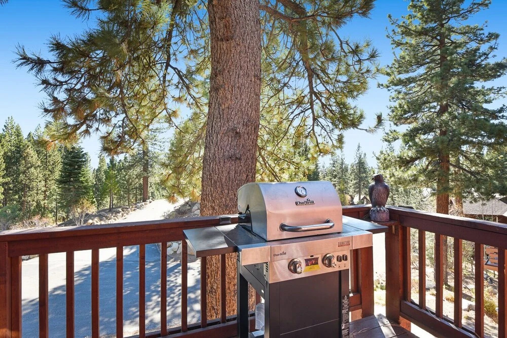 Mountain Bear Lodge
