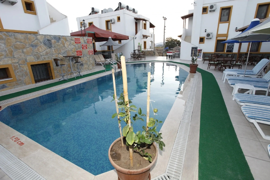 Hotel photo 11