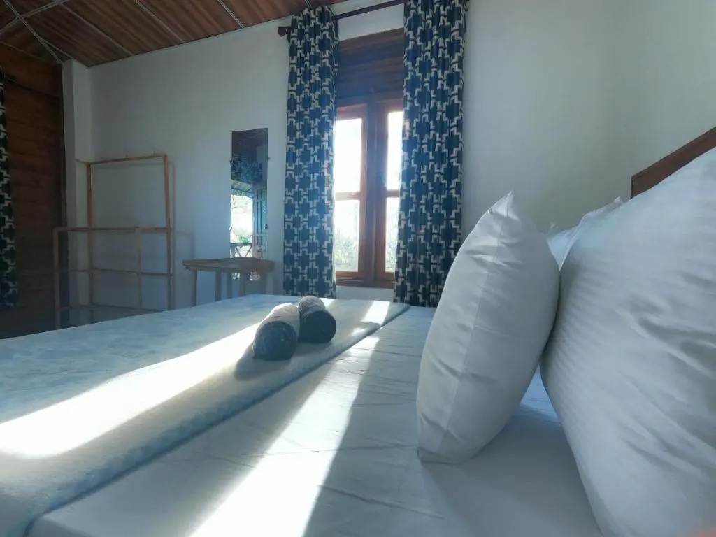 Deluxe Double room (full double bed)