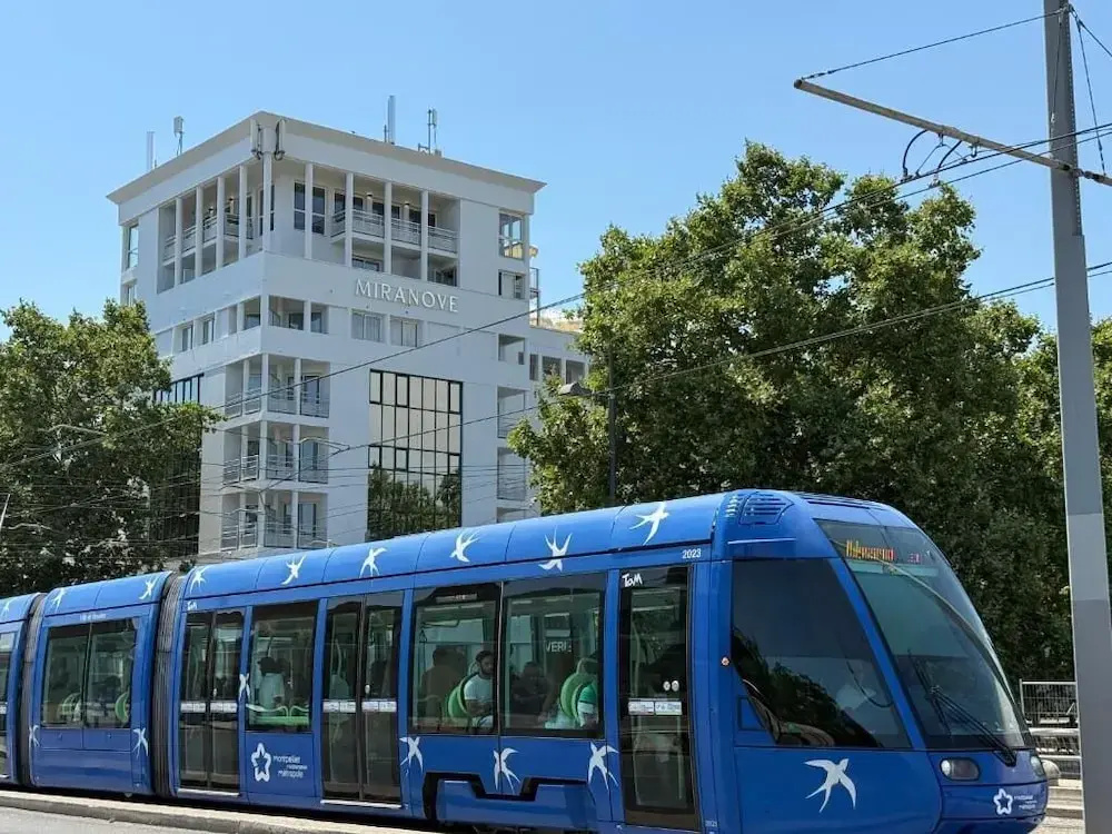 Miranove