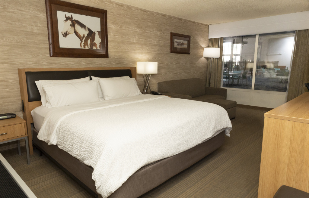 Holiday Inn Spearfish - Convention Center by IHG - Général