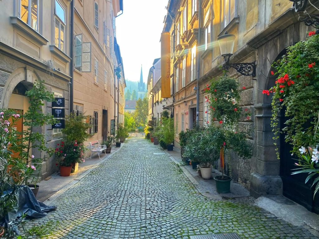 1BR Apartment on the Most Beautiful Street in Ljubljana Center