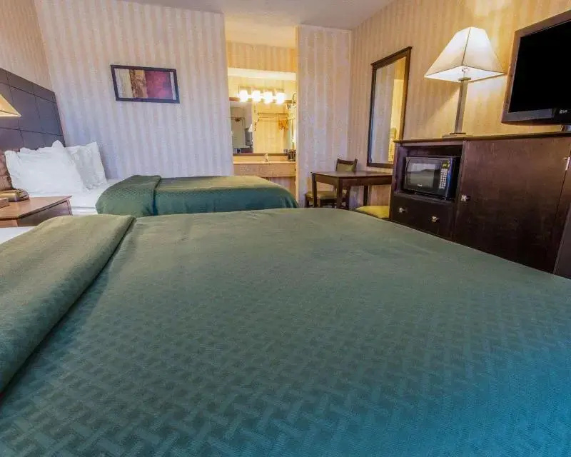 Comfort Inn - Chambres