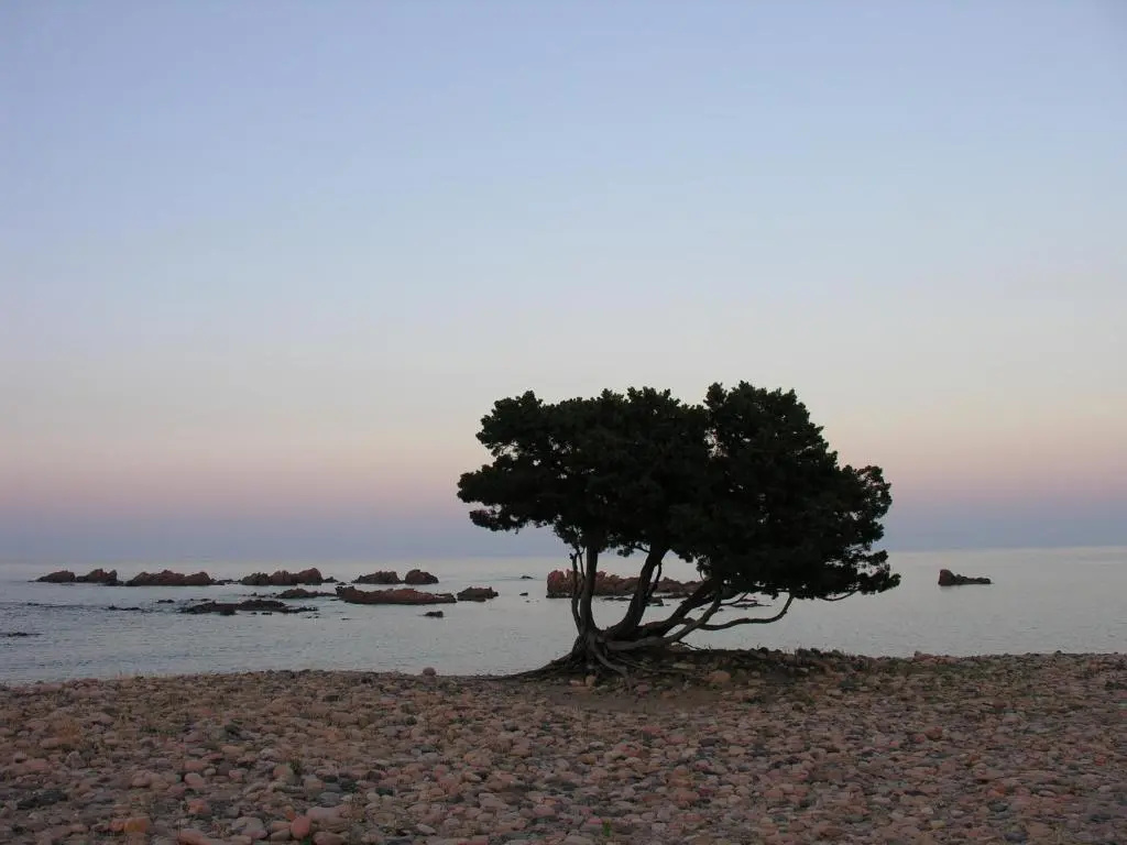 Beach & Waterfront