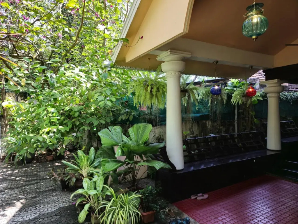 Bella Boutique Homestay - Général