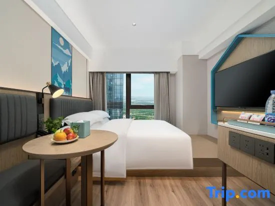 Standard Double room with city view (full double bed)