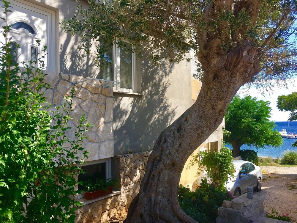 Hotel photo 31