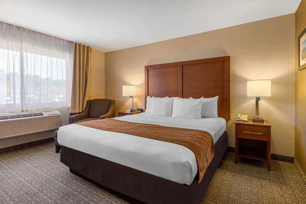 Comfort Inn & Suites Murrieta Temecula Wine Country - Général