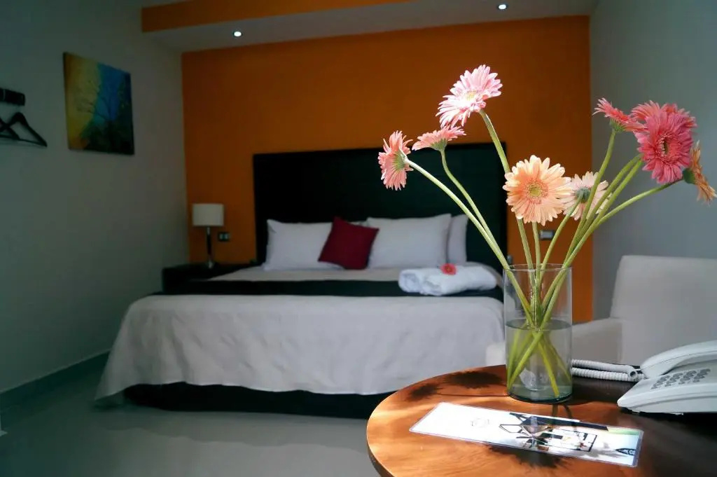 Hotel Casa Palomino - Chambres