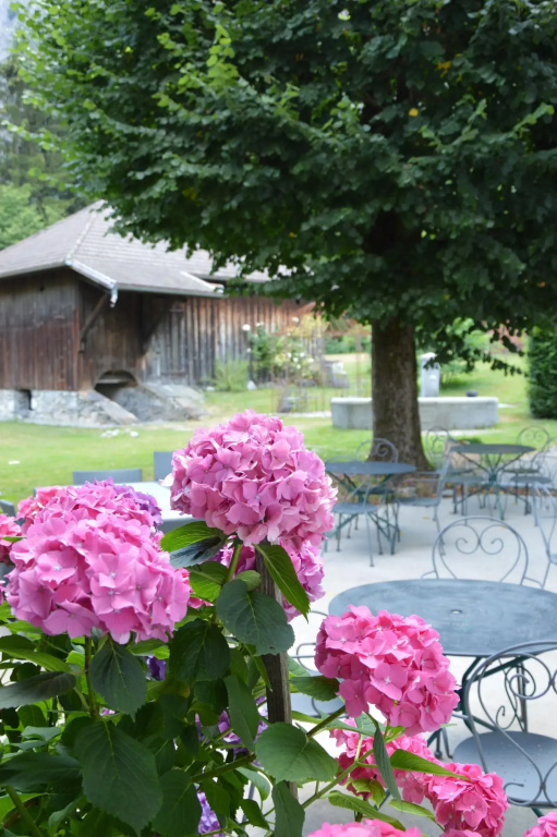 Logis Hôtel le Relais du Mont Blanc - Général