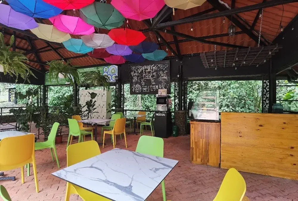 Tapirus Lodge - фото 13