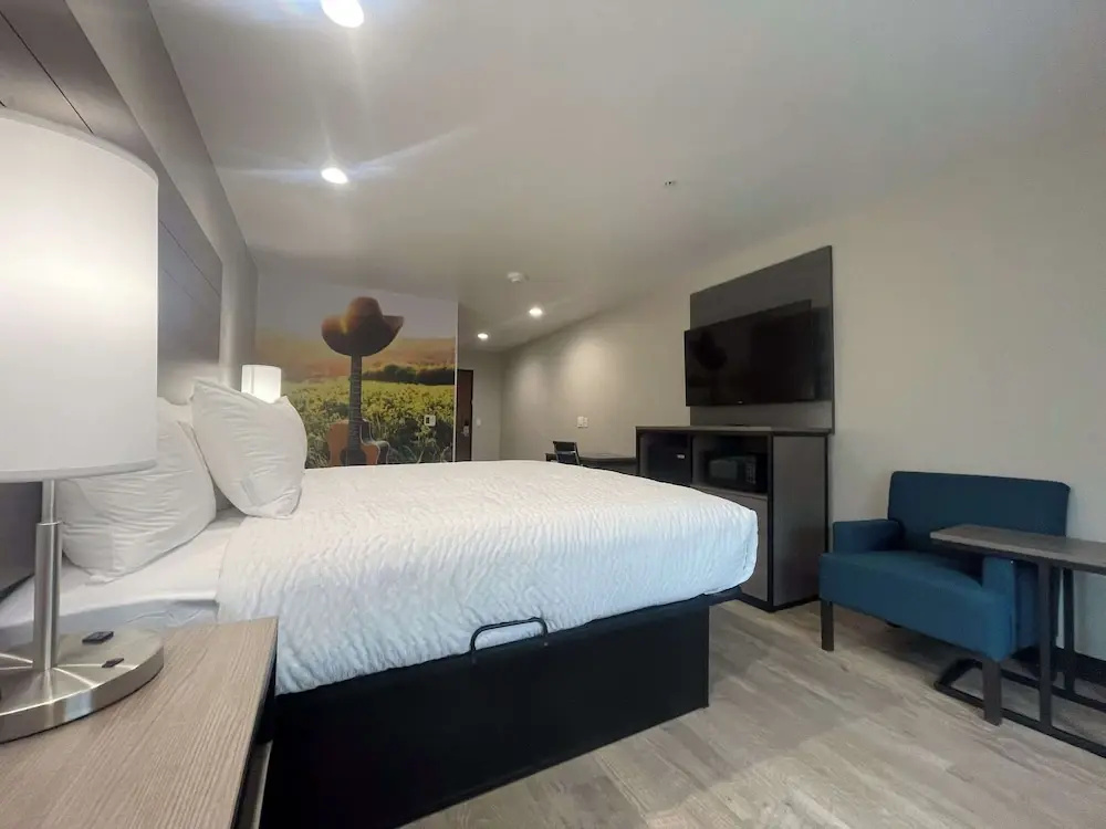 Standard Double room (full double bed)