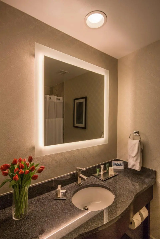 Hilton Pennywell St. Louis at the Arch - Chambres