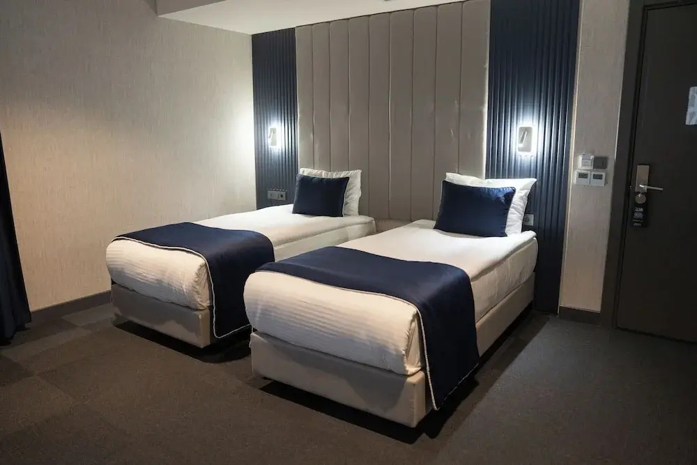 Standard Double room with city view (twin beds)