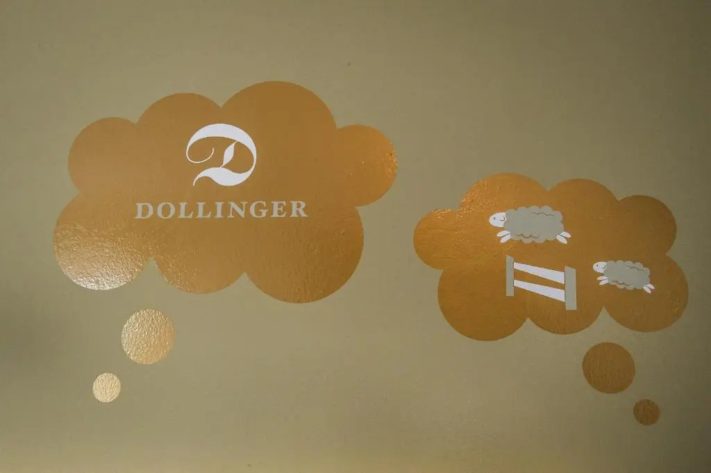 Hotel Dollinger - Chambres