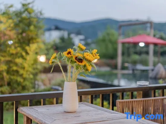Balcony & Terrace