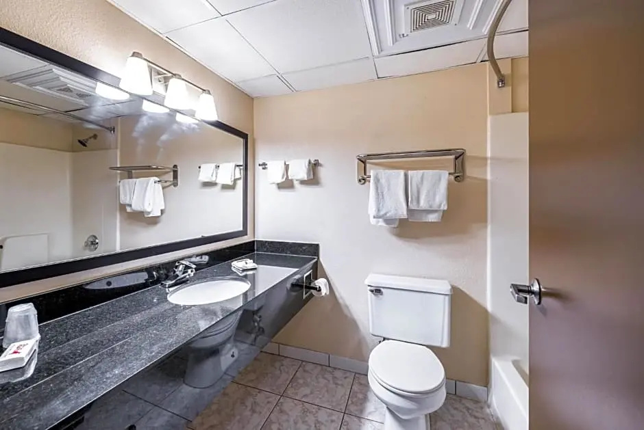 Spark by Hilton Palatine Arlington Heights - Chambres