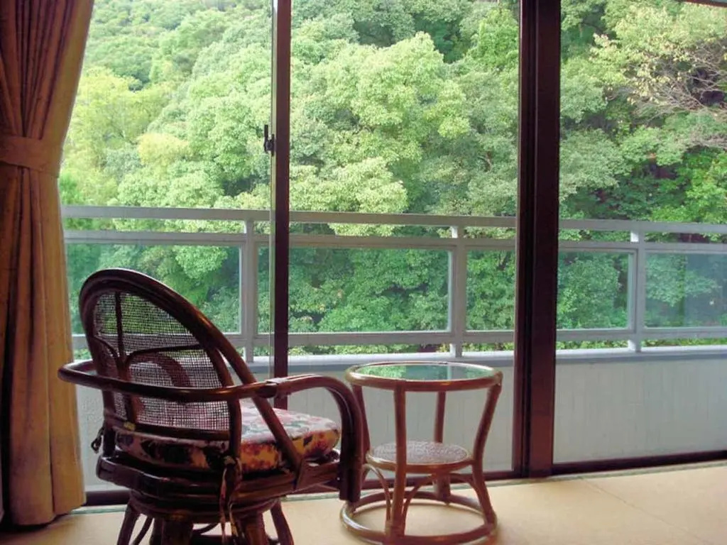 Tosaryu Onsen Sanyoso Ryokan - Chambres