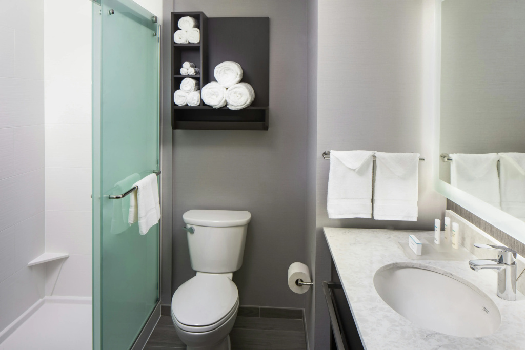 Homewood Suites by Hilton Atlanta Lenox Buckhead - Général