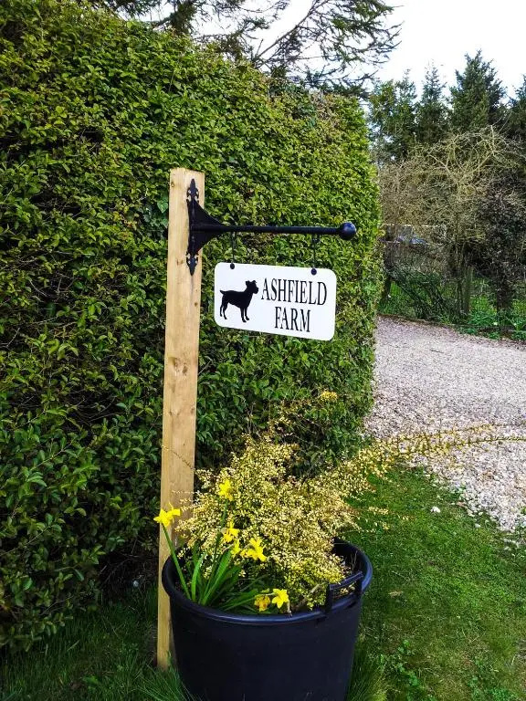 Ashfield Bed and Breakfast - Chambres