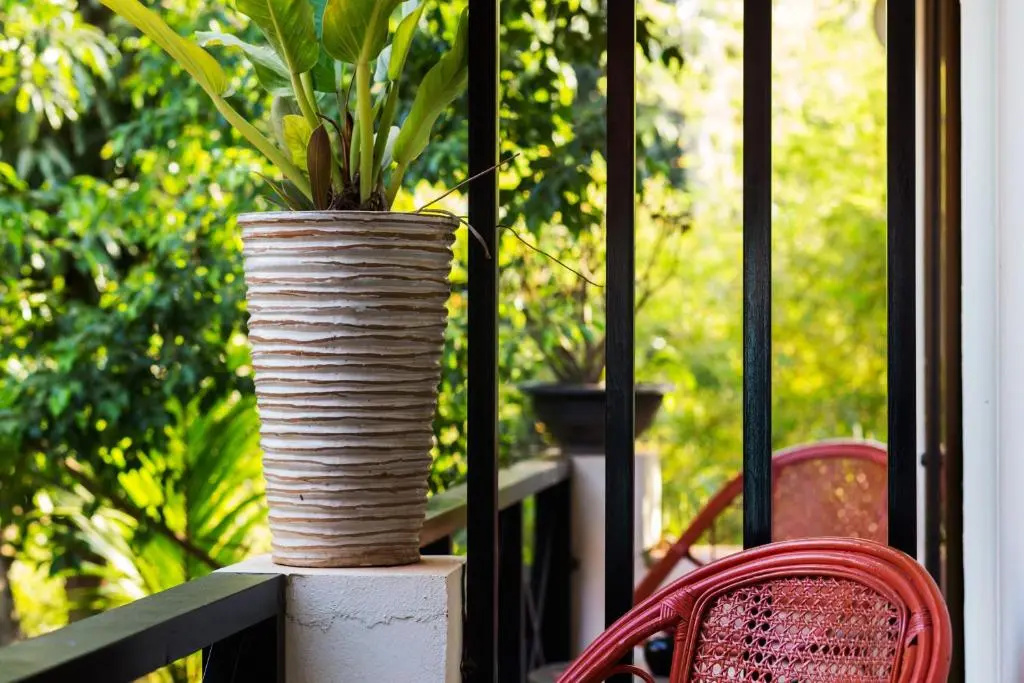 The Cockatoo Nature Resort & Spa - Chambres