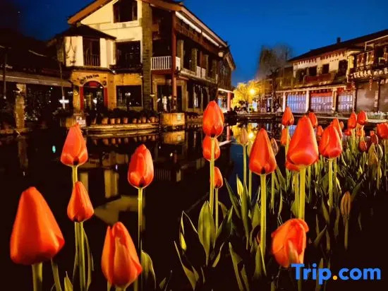 Lijiang Nanning Chinese-style aesthetic lifestyle - Général
