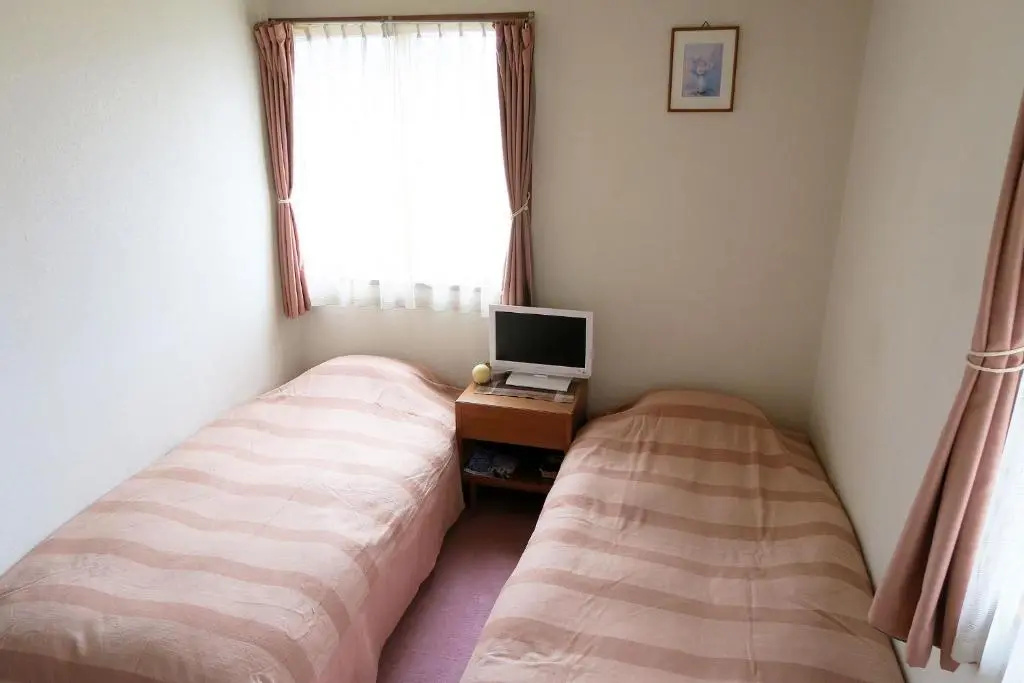 Standard Double room with mountain view (twin beds)