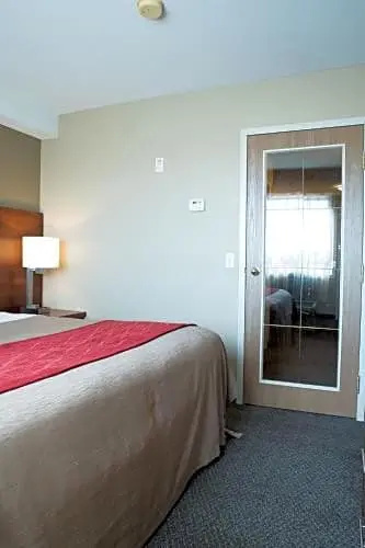 Standard Suite