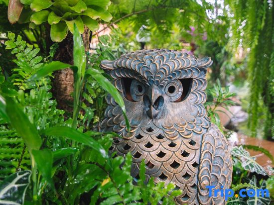 42Garden 3BR Apartment, Pool Access& near airport