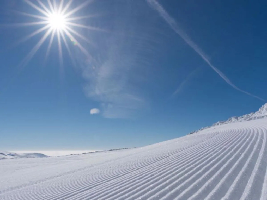 ATH Alpenpark Turrach,Zirbenwald II_13P