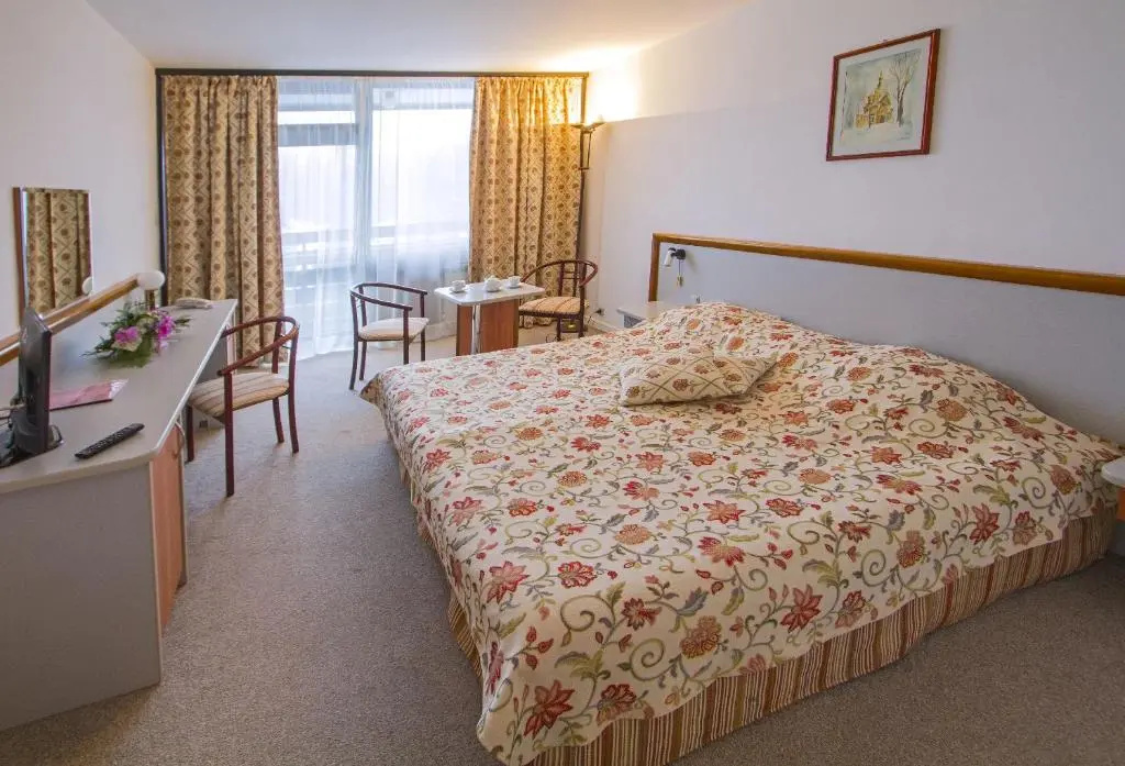 Hotel Samokov - Chambres