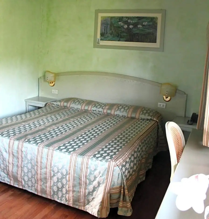 Standard Double room with lake view (full double bed)