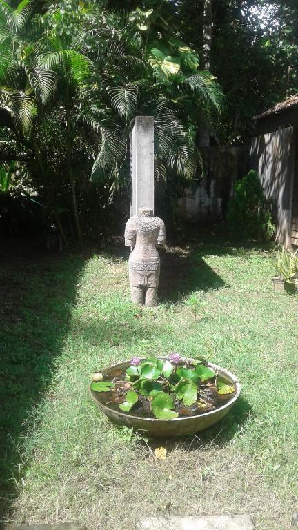 Turtle Eco Beach