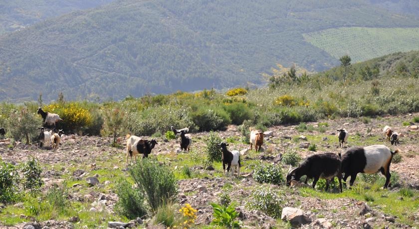 Refugio De La Rabaza