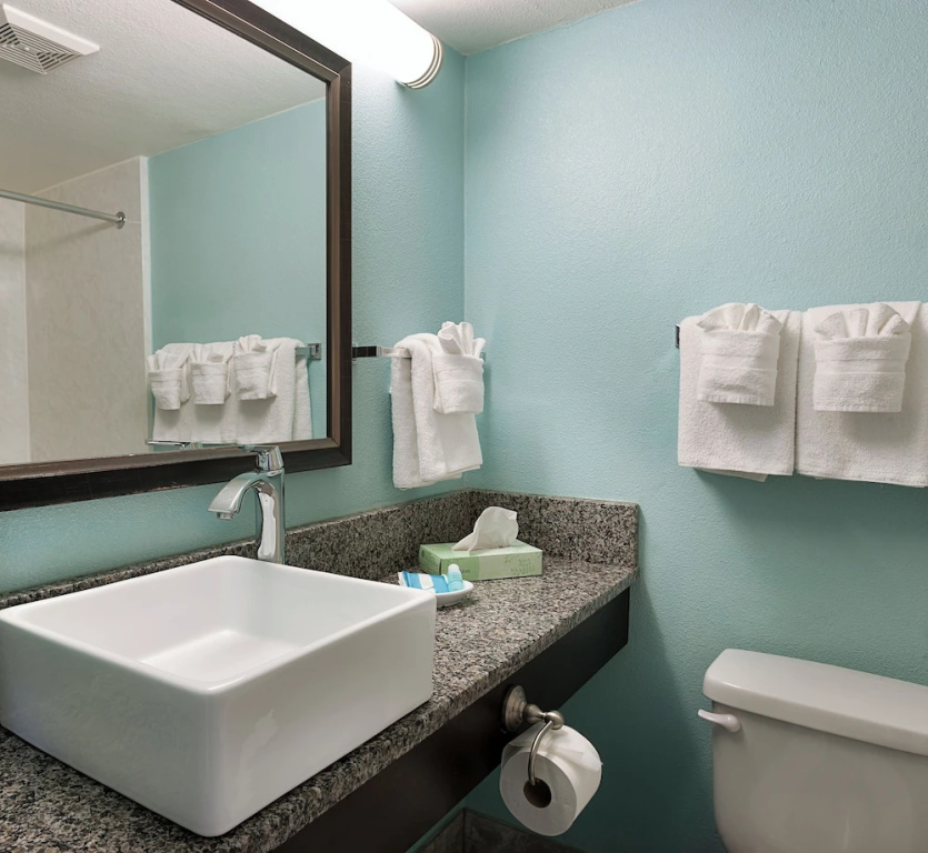 Standard Double room with balcony and with pool view (full double bed)