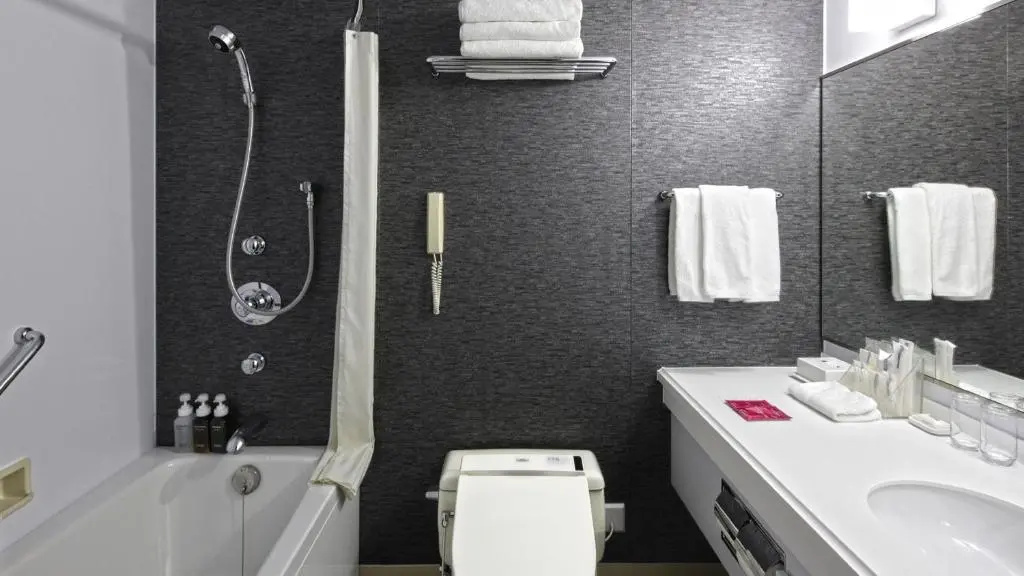 ANA Crowne Plaza Niigata by IHG - Chambres