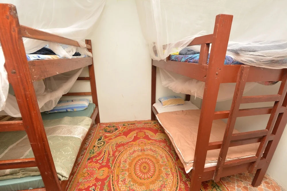 Bed in Dorm