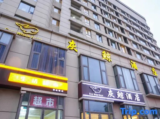 Shanghai Gray Whale Hotel (Songjiang Wanda Plaza) in Shanghai