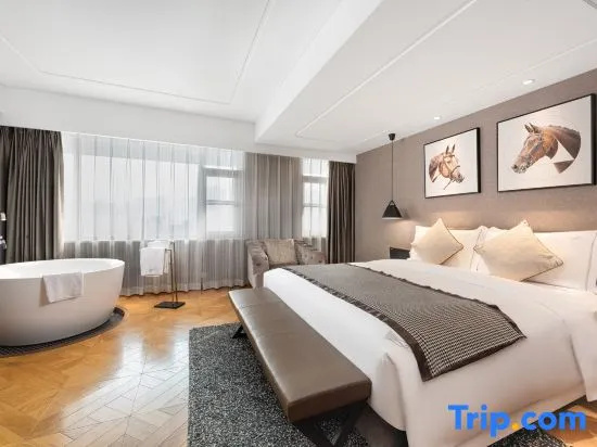 Standard Double room with city view (full double bed)