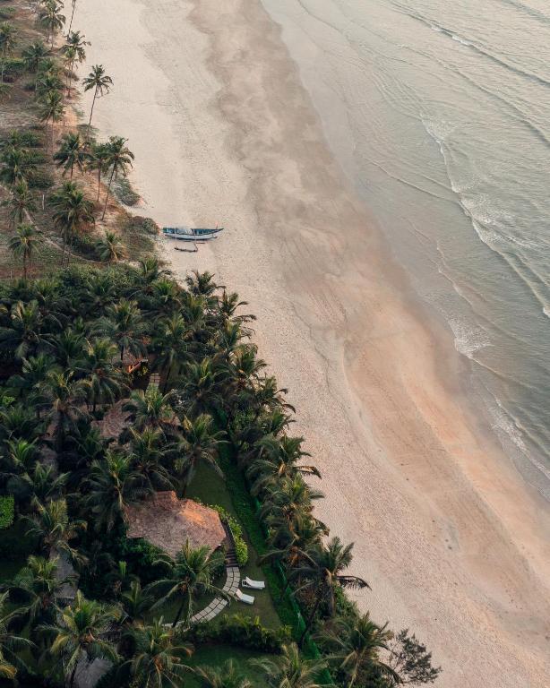 Planet Hollywood Goa Beach Resort