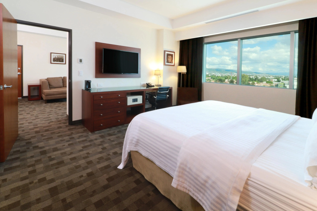 Holiday Inn Leon Plaza Mayor by IHG - Général