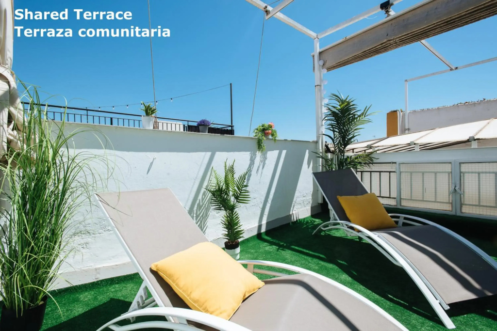 SBH1 Beautiful 1 bedroom apartment in city center
