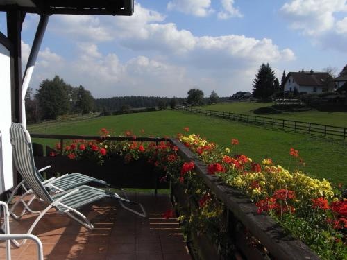 Balcony & Terrace