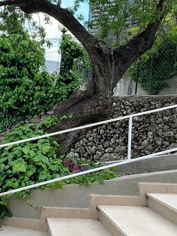 Balcony & Terrace