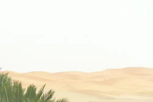 Beach & Waterfront