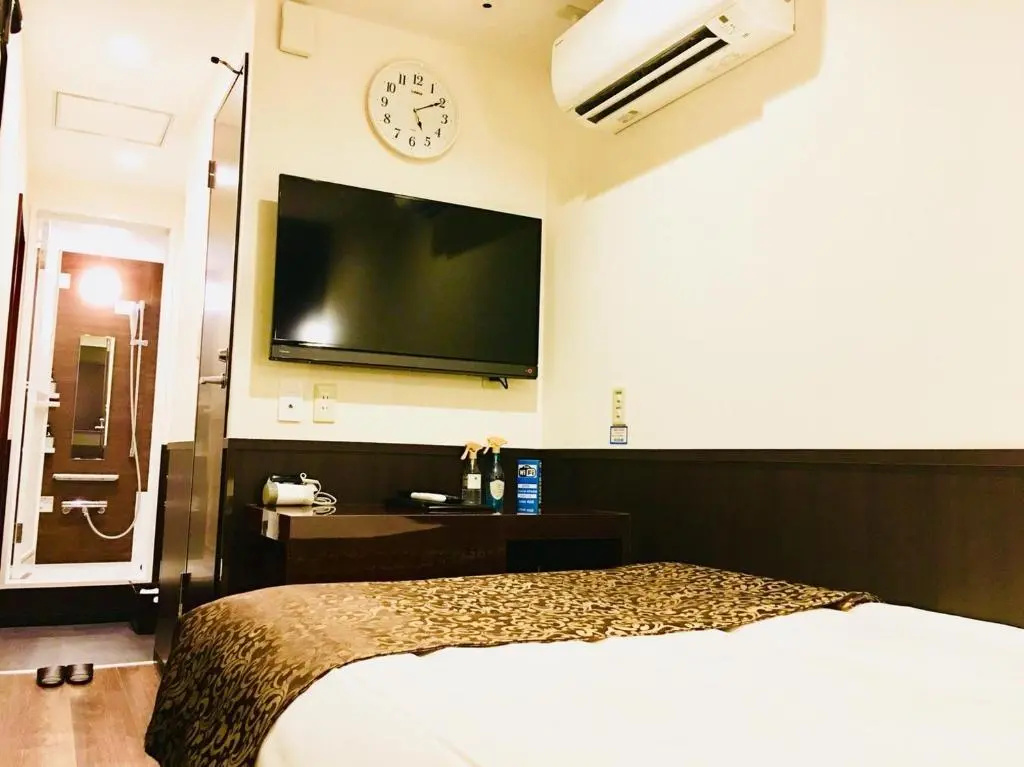 Standard Double room (full double bed)