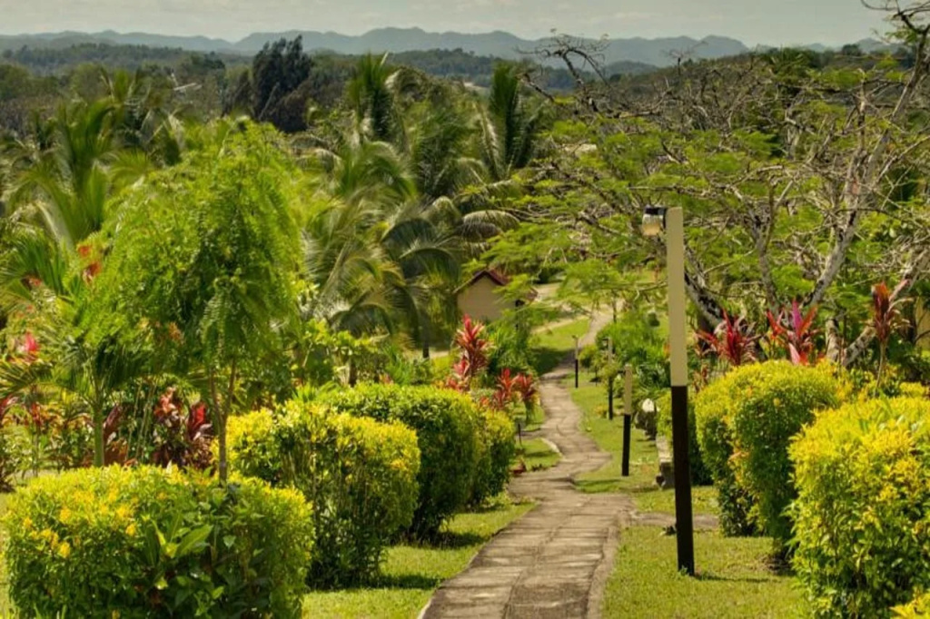 Cassia Hill Resort - 2