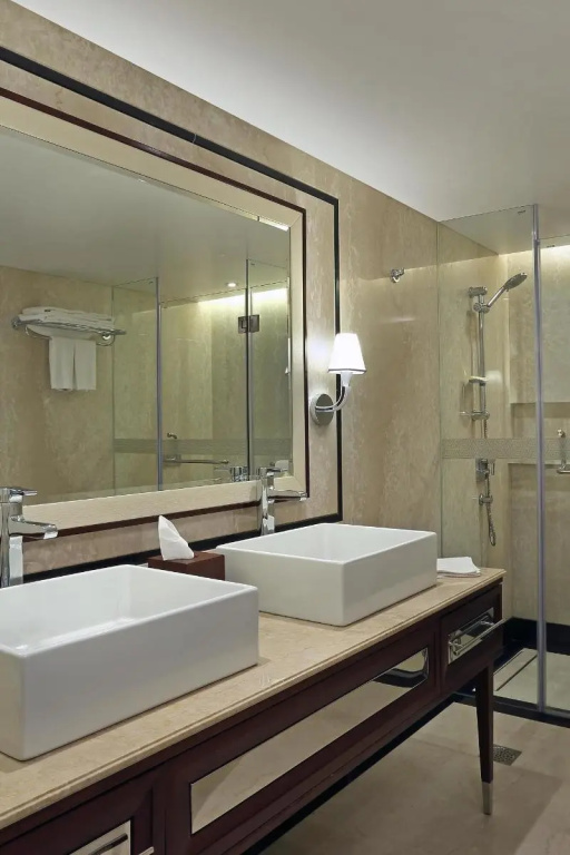 Sheraton Grand Pune Bund Garden Hotel - Général