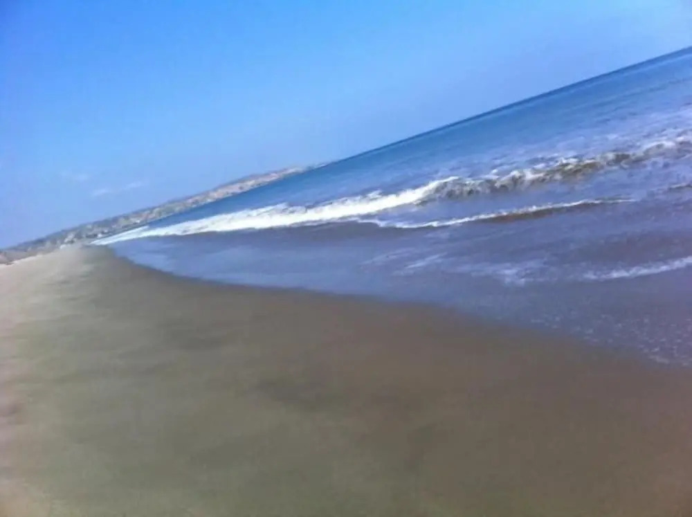 Amotape - фото 12