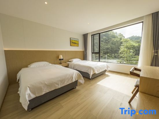 Deluxe Double room (twin beds)